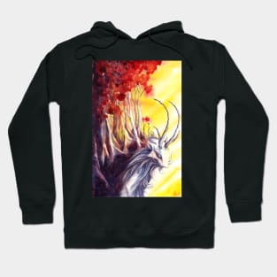 Beast of Fo XL Hoodie